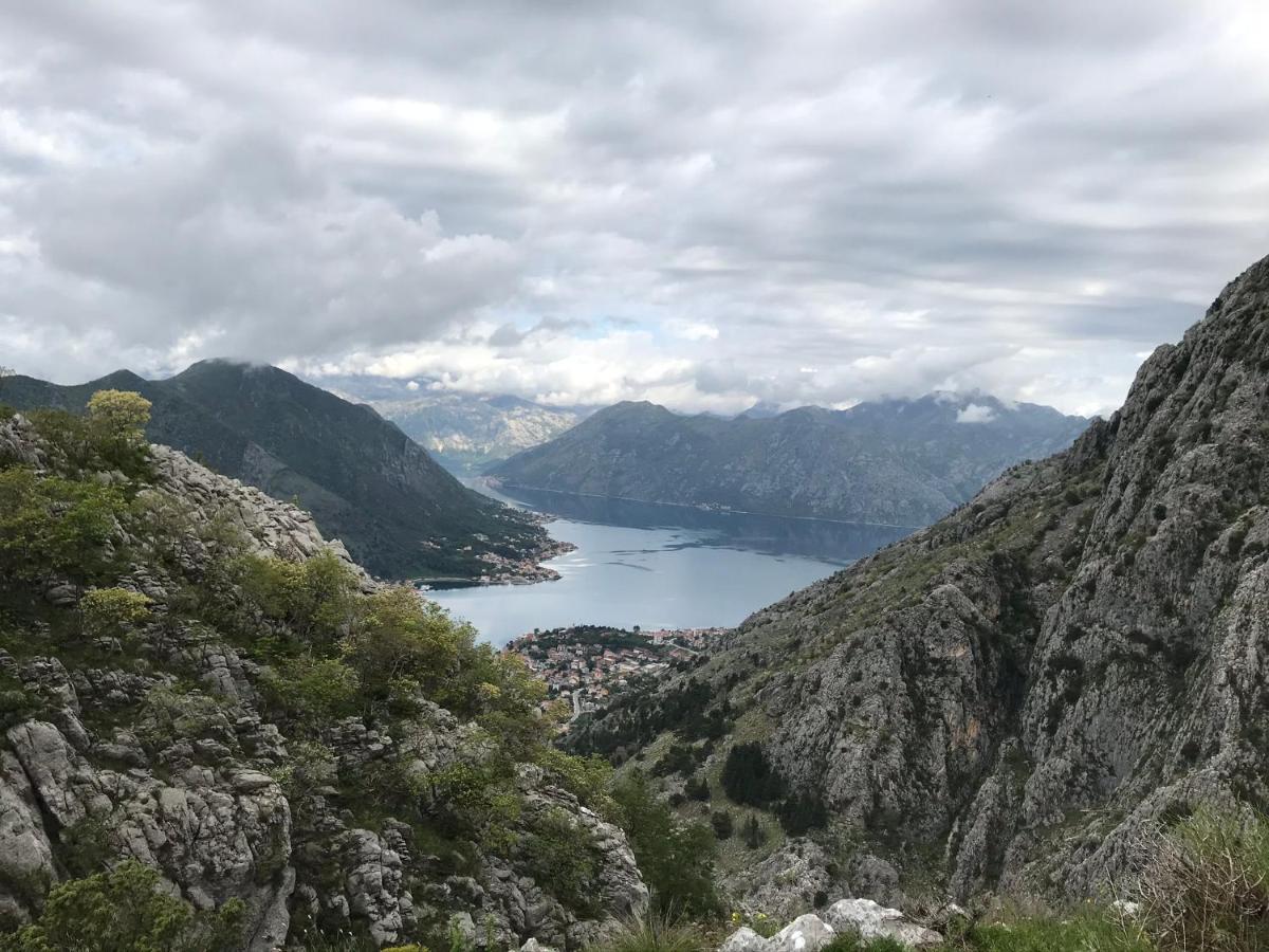 Romantic Rooftop View Hideaway- Old Town Nr 404 Kotor Zewnętrze zdjęcie