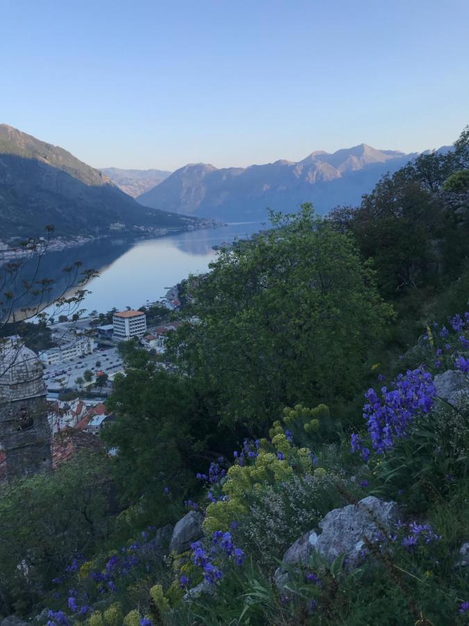Romantic Rooftop View Hideaway- Old Town Nr 404 Kotor Zewnętrze zdjęcie